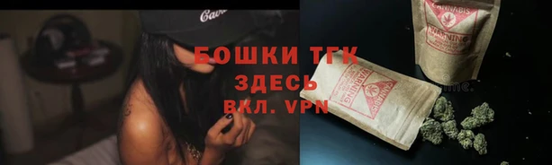 ECSTASY Богородск