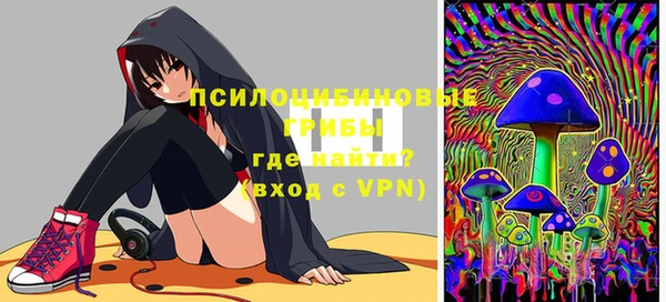 ECSTASY Богородск