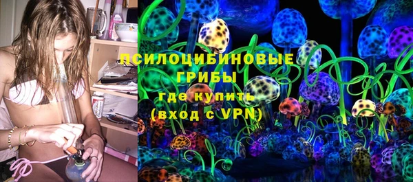 ECSTASY Богородск